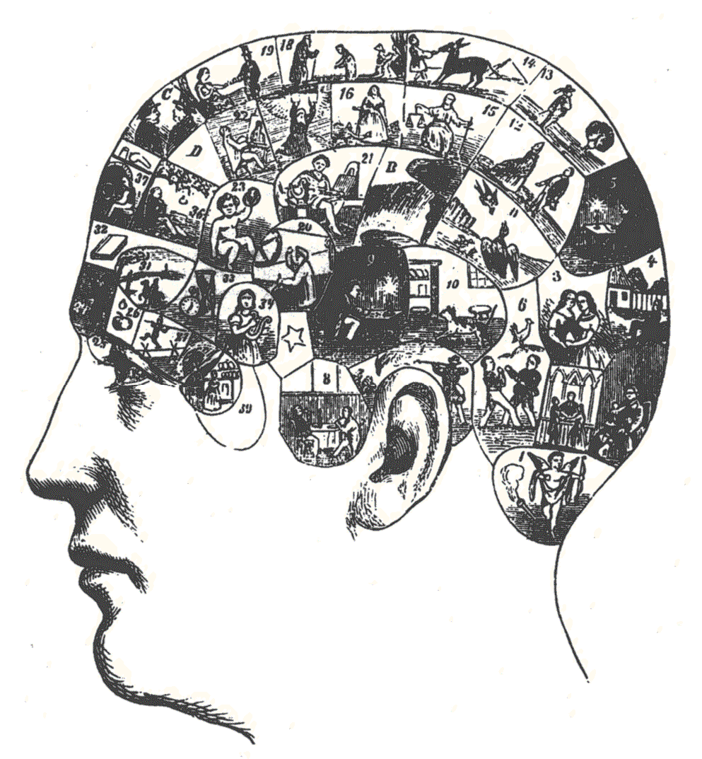 19th-century view of functional differentiation in the human brain